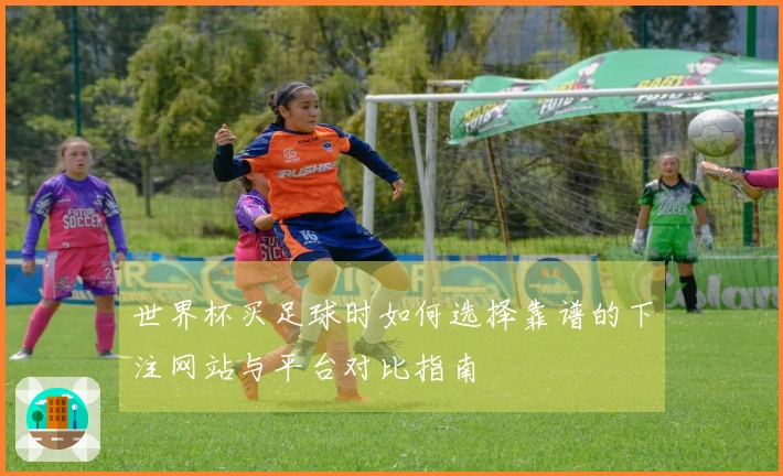 世界杯买足球时如何选择靠谱的下注网站与平台对比指南