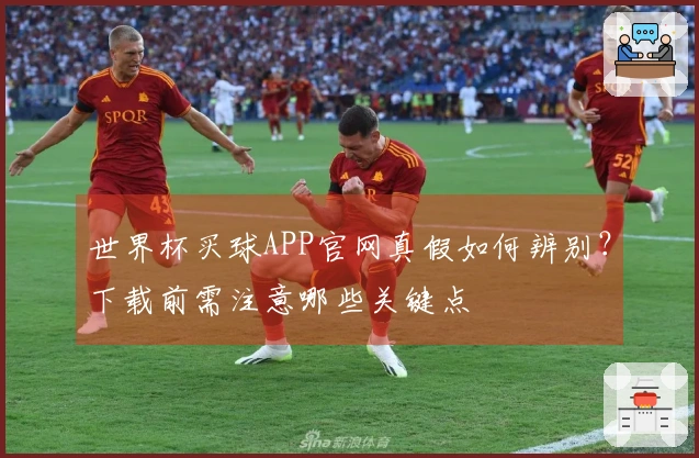 世界杯买球APP官网真假如何辨别？下载前需注意哪些关键点
