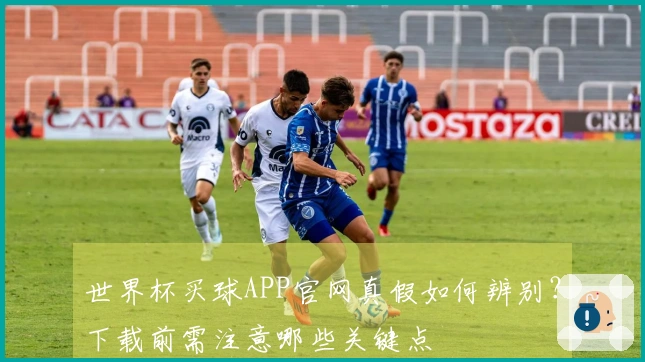 世界杯买球APP官网真假如何辨别？下载前需注意哪些关键点