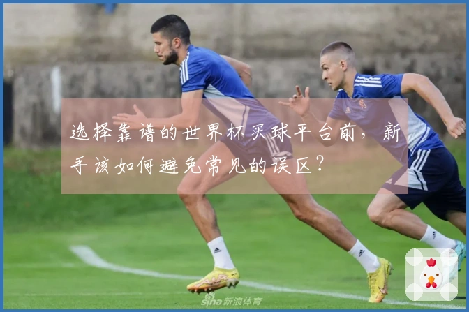 选择靠谱的世界杯买球平台前，新手该如何避免常见的误区？