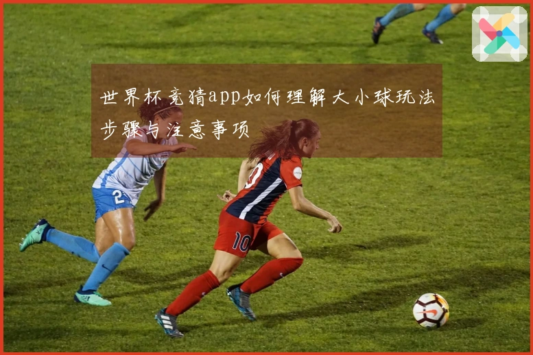 世界杯竞猜app如何理解大小球玩法步骤与注意事项