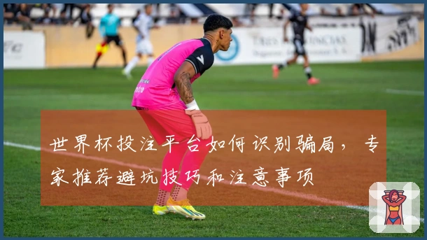 世界杯投注平台如何识别骗局,专家推荐避坑技巧和注意事项