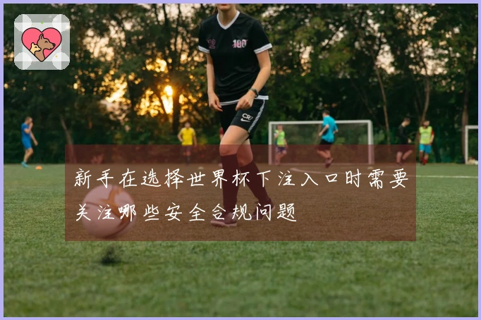 新手在选择世界杯下注入口时需要关注哪些安全合规问题