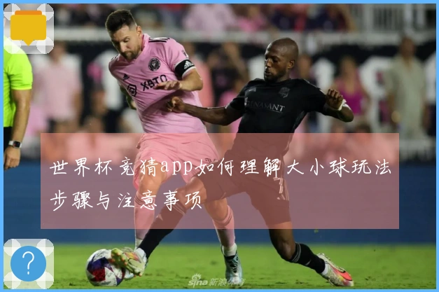 世界杯竞猜app如何理解大小球玩法步骤与注意事项
