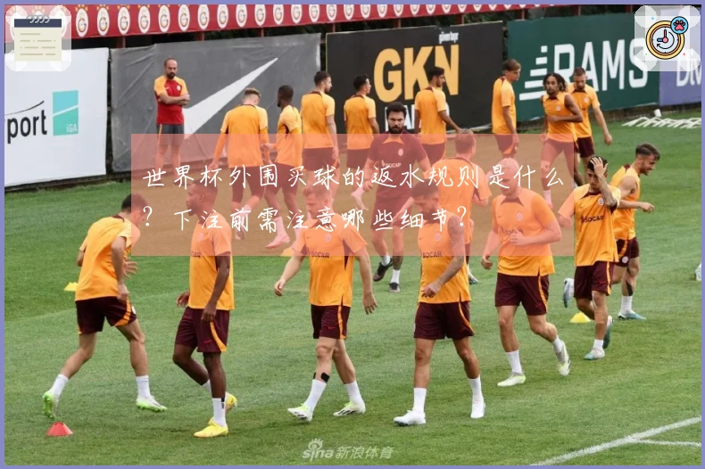 世界杯外围买球的返水规则是什么？下注前需注意哪些细节？